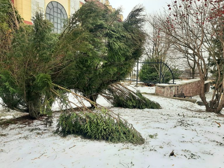 На Прикарпатті енергетики повідомили, де через вітер немає світла 3 На Прикарпатті енергетики повідомили, де через вітер немає світла