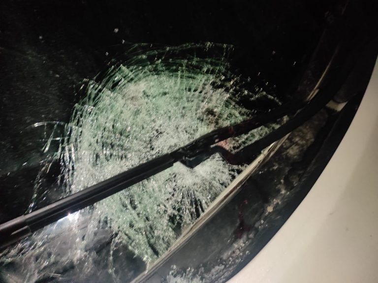 На Львівщині затримали водія, який збив пішохода та втік з місця події (ФОТО) 3 272619613 299300632241715 4643483701338514399 n