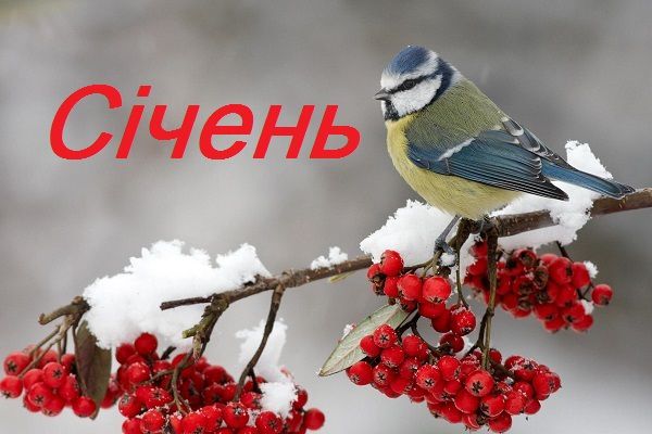 14 січня 2022: Старий Новий рік і свято Василя