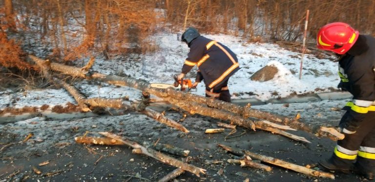 На Городенківщині рятувальники дві години розчищали чагарники, щоб витягнути автомобіль 11 На Городенківщині рятувальники дві години розчищали чагарники, щоб витягнути автомобіль
