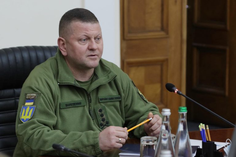 226512 zaluzhnij 960x380 0