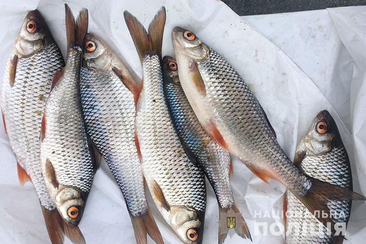 На Тернопільському озері затримали двох рибалок: третій від поліції втік