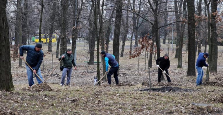 Коломиян кличуть на загальноміську толоку 3 6 4