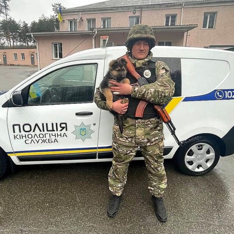 В об'єктиві війни - цуценя Байрактар: що відомо про його подвиги (ФОТО) 4 275017381 321168736714116 2182147634812918985 n