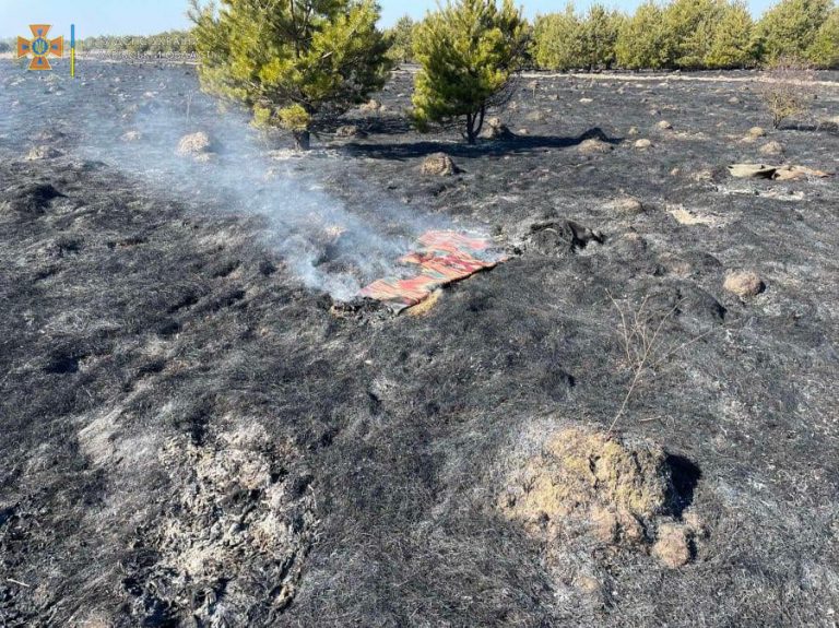Бабуся палила траву: на Львівщині виявили на згарищі тіло жінки (ФОТО) 8 275849092 4979446285470165 6006753947769781669 n