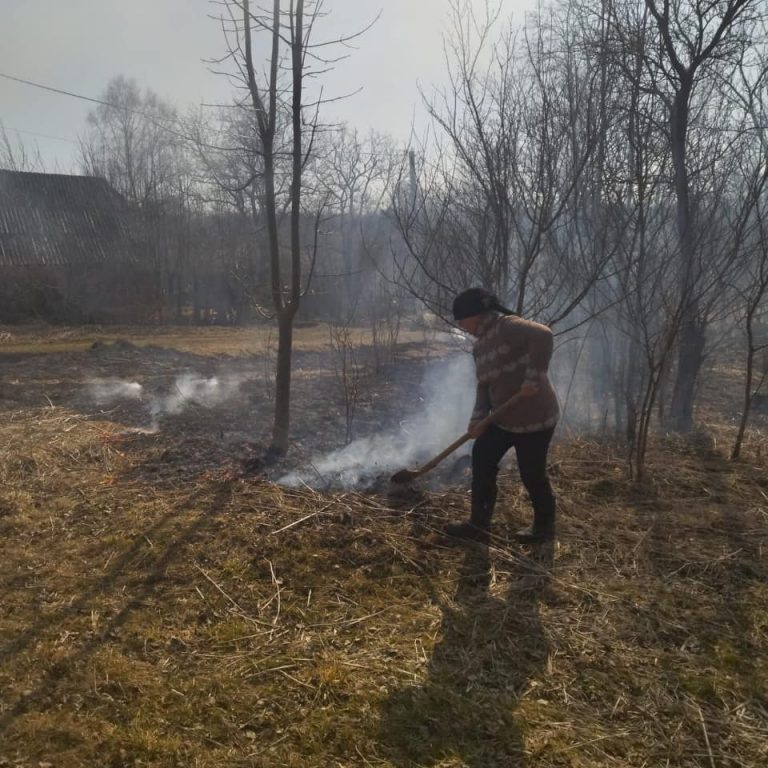Попри заборону: на Калущині виявили шістьох паліїв сухостою (ФОТО) 9 275924693 270240665298301 1691189217678580646 n