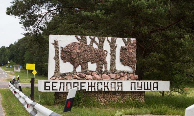 Другий раунд переговорів з Росією: що відомо на цей момент 8 900 belovezhskayapushha07