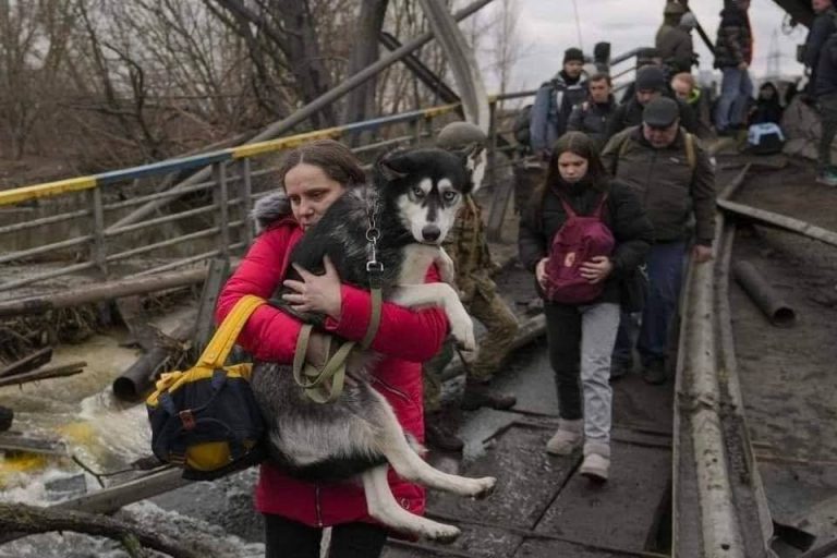 З Ірпеня вдалося евакуювати частину людей: вражаючі світлини 7 photo 2022 03 06 13 16 23