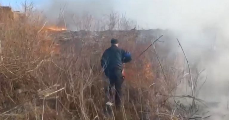 Війна не зупиняє паліїв: у Загвіздянській громаді горіла велика площа сухостою (ВІДЕО) 12 photo 2022 03 24 17 50 2511