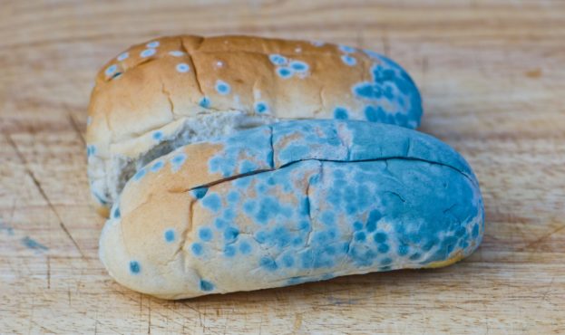 Росія закуповує для своєї армії прострочений хліб