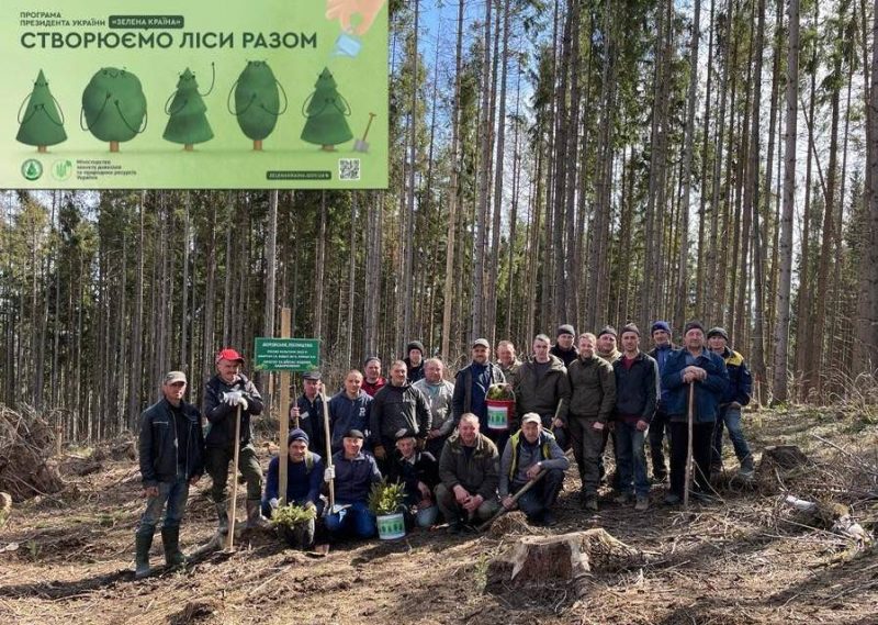 Лісівники Делятинського лісгоспу висадили понад 80 тисяч дерев (ФОТО)