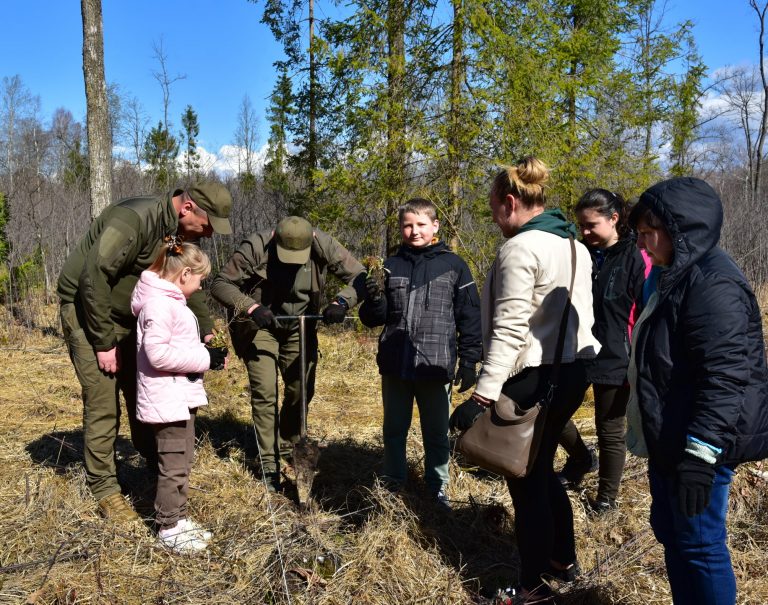 На Богородчанщині лісівники та переселенці висадили молодий ліс (ФОТО) 7 На Богородчанщині лісівники та переселенці висадили молодий ліс (ФОТО)