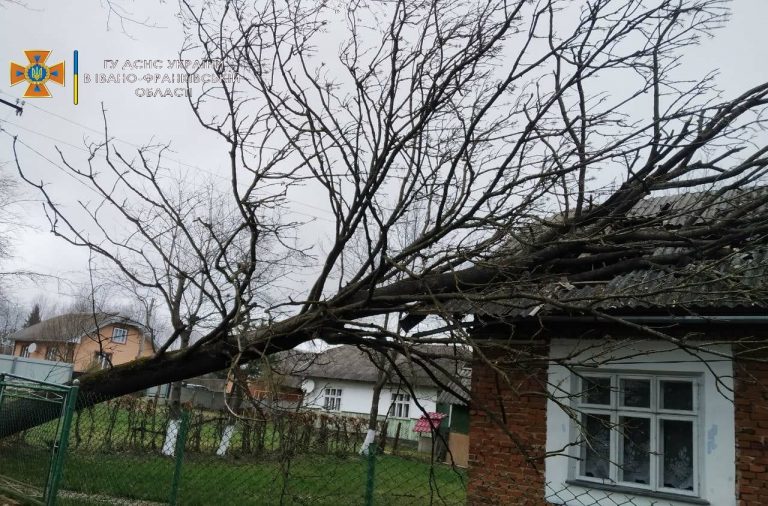 Через сильний вітер на Франківщині впало на хату дерево: прибули рятувальники (ФОТО)