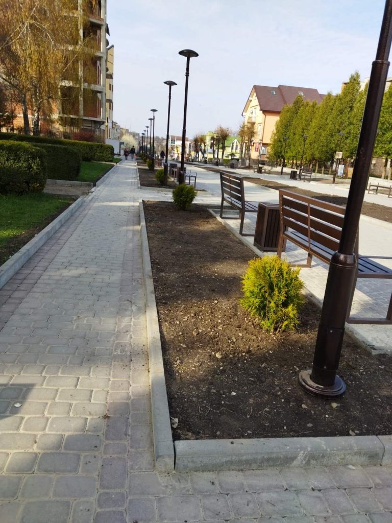 У Городенці на центральній площі висадили туї (ФОТО) 10 278801835 407230394549670 3757783593252104678 n
