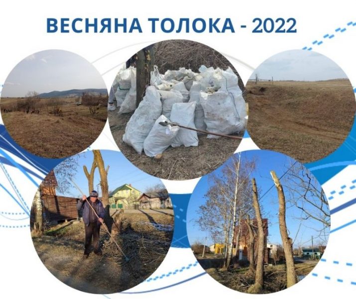 Весняна толока-2022 на Долинщині: естафету перейняли Новичка й Грабів (ФОТО)