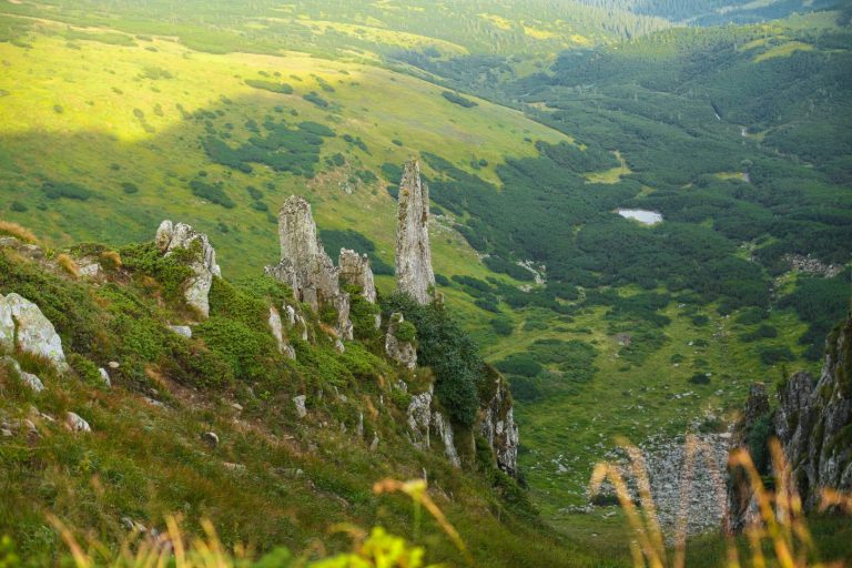 SHpytsi Olia Tarasovych min