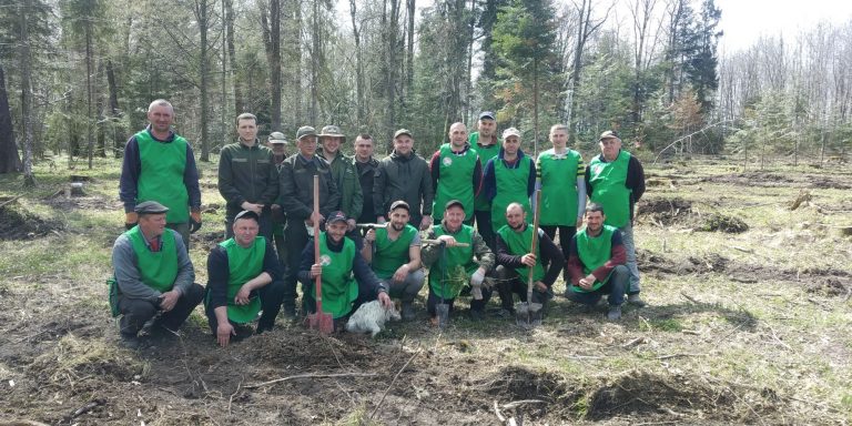 Понад 4 тисячі саджанців: на Коломийщині лісівники з переселенцями висадили ліс (ФОТО)