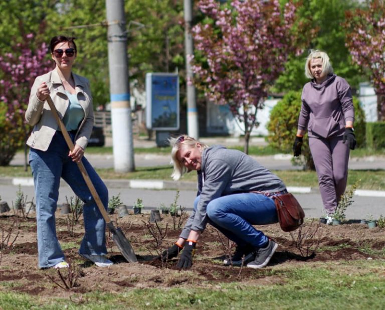 У Калуші розквітнуть 1000 троянд: саджав молоді кущі й Андрій Найда (ФОТО)