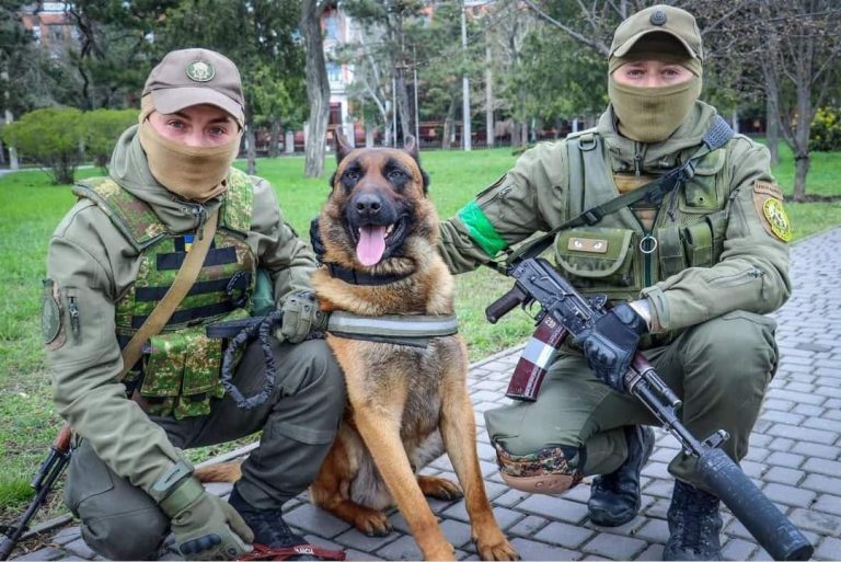 Команди українською вивчив за місяць: пес з Росгвардії перейшов на сторону України (ФОТО)