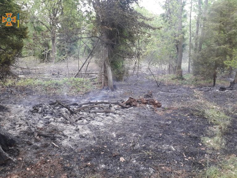 Рятувальники гасили пожежу на території Рибницького лісництва (ФОТО) 3 283346578 321687173453986 973872082110335815 n