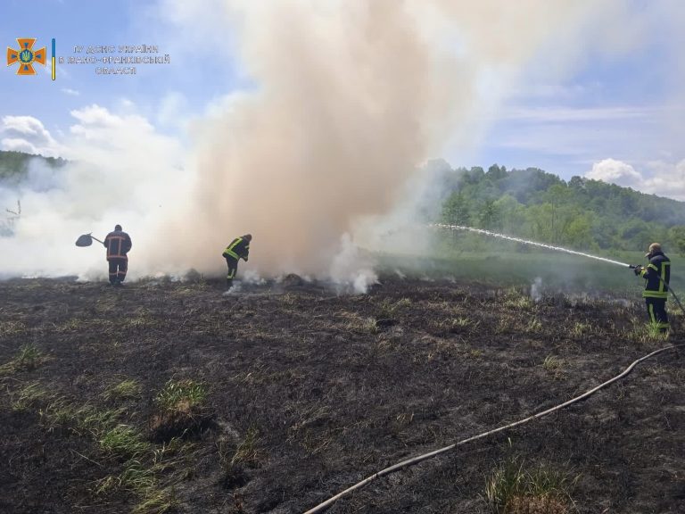 На Надвірнянщині гасили пожежу сухої трави (ФОТО) 11 283765649 323023259987044 1432873436745197481 n