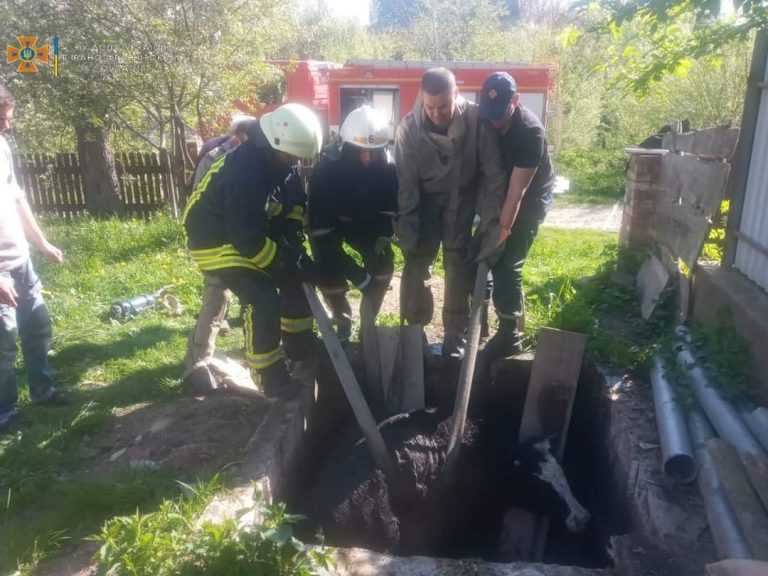 На Прикарпатті рятувальники допомогли тваринам вибиратися із небезпеки (ФОТО) 12 FB IMG 1652171354436