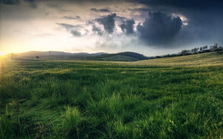 У четвер в Україні може бути навіть холодно: прогноз від синоптикині Наталки Діденко 12 1623539852 12 oir mobi p dozhd v pole priroda krasivo foto 12