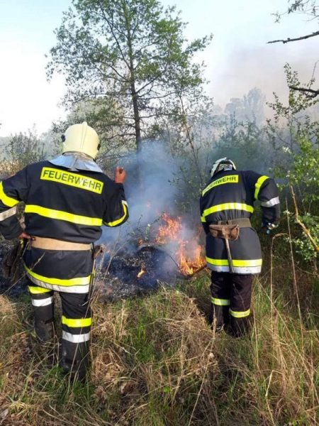 Ймовірно, хтось підпалив: на Снятинщині горіла суха трава (ФОТО)