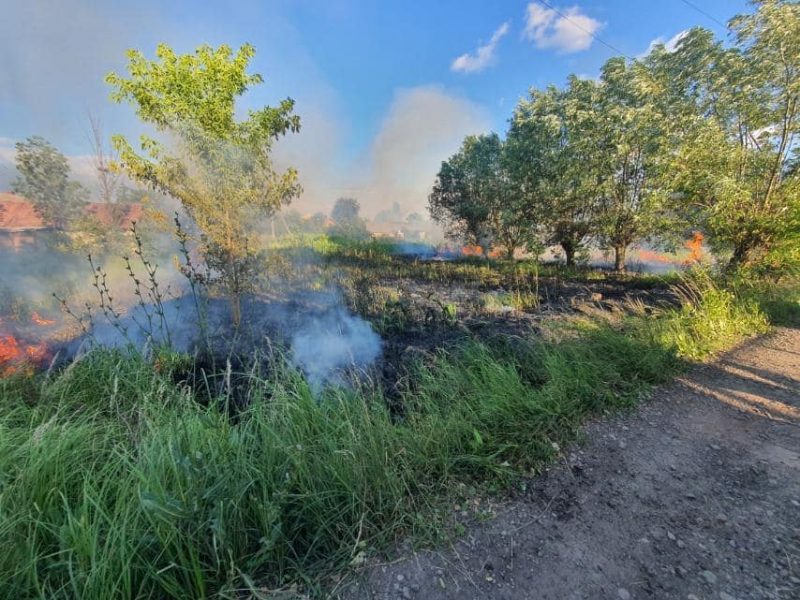 Ймовірно, хтось підпалив: на Снятинщині горіла суха трава (ФОТО)