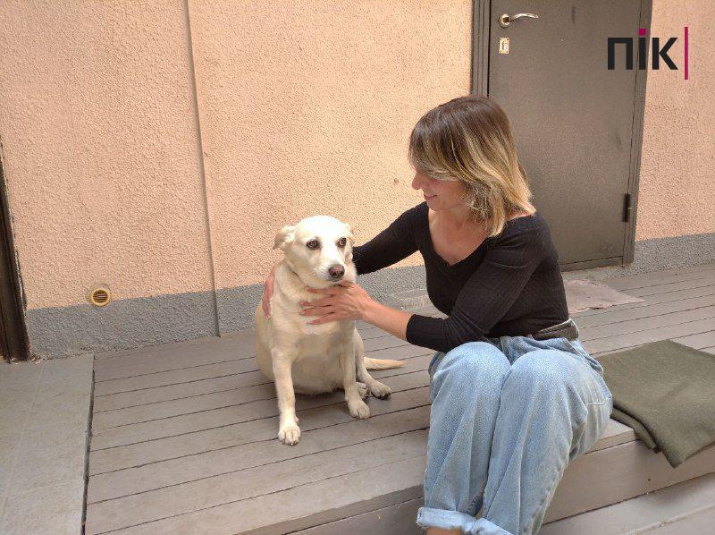 Замість бару - прихисток. Як у Франківську почуваються тварини, що пережили війну (ФОТО) 4 79659676 8b35 4869 8cc8 f49e0e4eb3bb