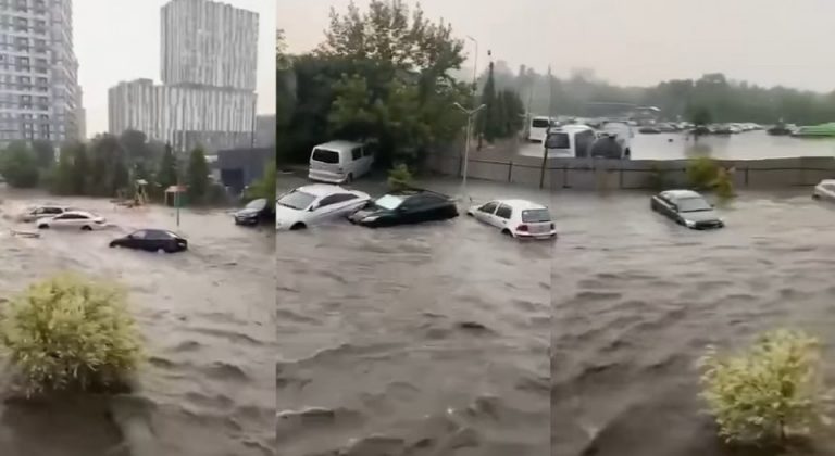 Наслідки негоди у Львові: підтоплення доріг, повалені дерева, пошкоджені дахи й автомобілі (ФОТО) 3 247074 Screenshot 6 960x380 0