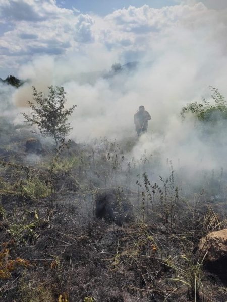 На території Вигодського лісгоспу сталася пожежа: гасили лісові охоронці (ФОТО)