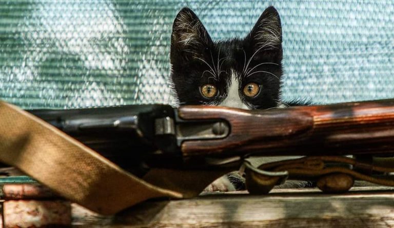 146 день війни: ворог має частковий успіх в напрямку Покровського