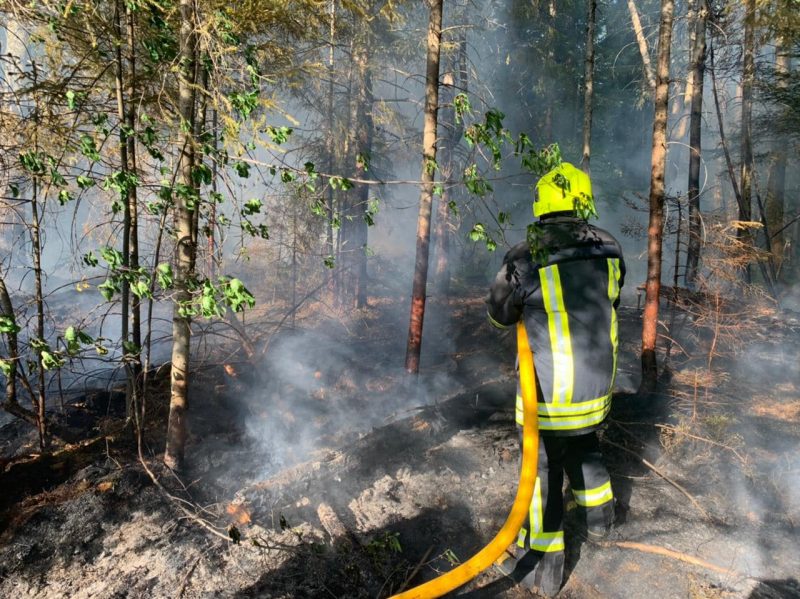 В селі Вільхова на Прикарпатті горить торф: вогнеборці продовжують гасити (ФОТО, ВІДЕО)