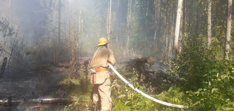 На однаковій площі: у двох селах Франківщини горить ліс (ФОТО) 6 На однаковій площі: у двох селах Франківщини горить ліс (ФОТО)