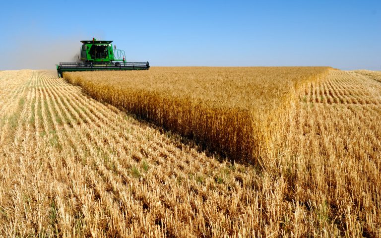 Аграрії Прикарпаття зібрали утричі більше зерна, а ніж минулого року - Онищук 12 62d004643d245228554244