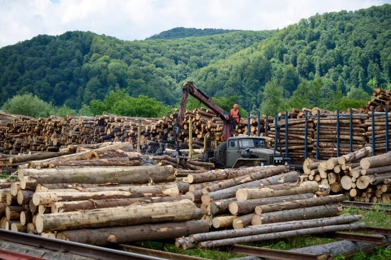 У Вигодському лісгоспі відкрили новий цех із переробки деревини (ФОТО) 1 FB IMG 1657913130358