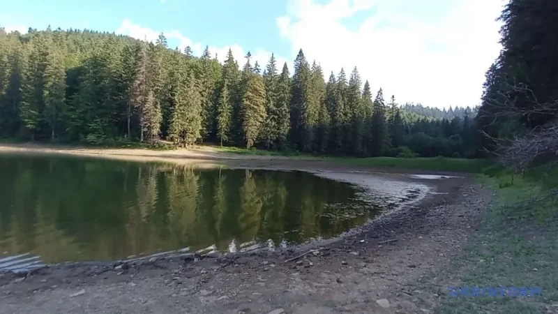 Найбільше гірське озеро України Синевир рекордно обміліло: причина
