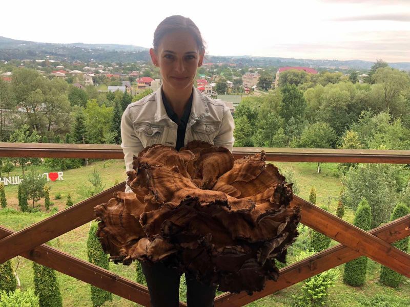 Важив до 7 кілограм: на Косівщині знайшли гігантський гриб (ФОТО)