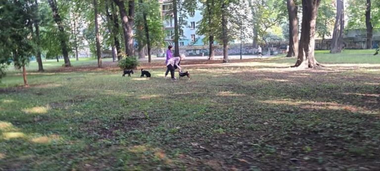 Суперечить, як мінімум, етичним нормам: "муніципали" про вигул собак в Меморіальному сквері 12 299905371 370104148621264 2069178847751141965 n