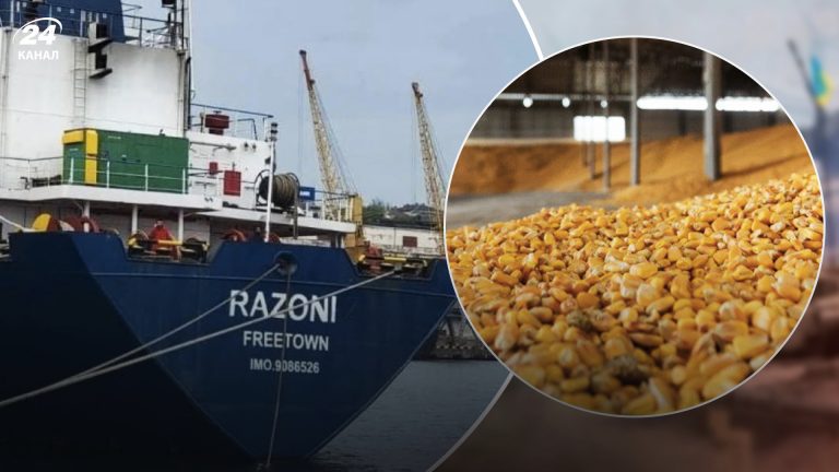 У Лівані відмовилися приймати українську кукурудзу: яка причина 3 У Лівані відмовилися приймати українську кукурудзу: яка причина