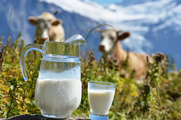На Прикарпатті люди їдять найбільше молочних продуктів і картоплі в Україні 11 На Прикарпатті люди їдять найбільше молочних продуктів і картоплі в Україні