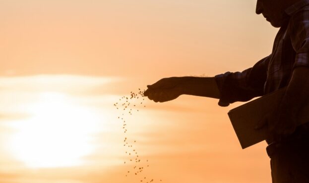 Втратив 13 тисяч гривень і 5 тонн пшениці: на Закарпатті чоловік засіяв землі ЗСУ