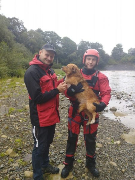 У Яремче рятувальники врятували двох собак, які ледь не зірвалися з скали в річку (ФОТО)