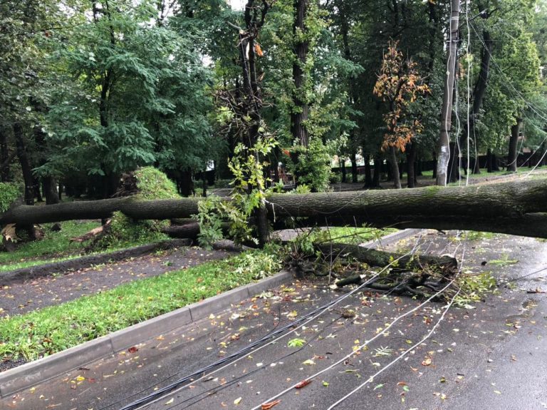 Впали дерева, затопило вулиці: на Прикарпатті ліквідують наслідки негоди (ФОТО) 9 305844123 400027138953322 8800342826637192820 n
