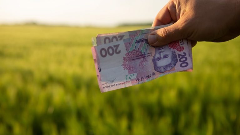 Стало відомо, скільки заробляють працівники сільськогосподарської сфери 7 LVF6nPCN6 groshi