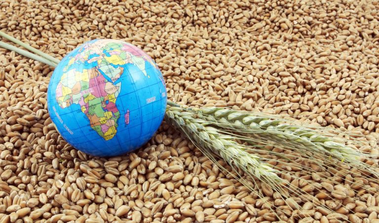 У світі п'ять місяців поспіль знижуються ціни на продукти: які саме 7 original 2