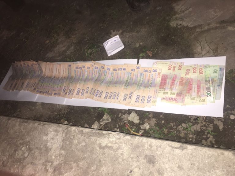 311230895 409906187997692 418068863824685240 n