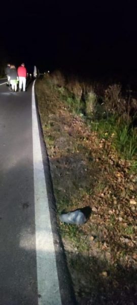 Смертельна ДТП на Львівщині: 32-річна водійка Mercedes-Benz збила велосипедиста (ФОТО)