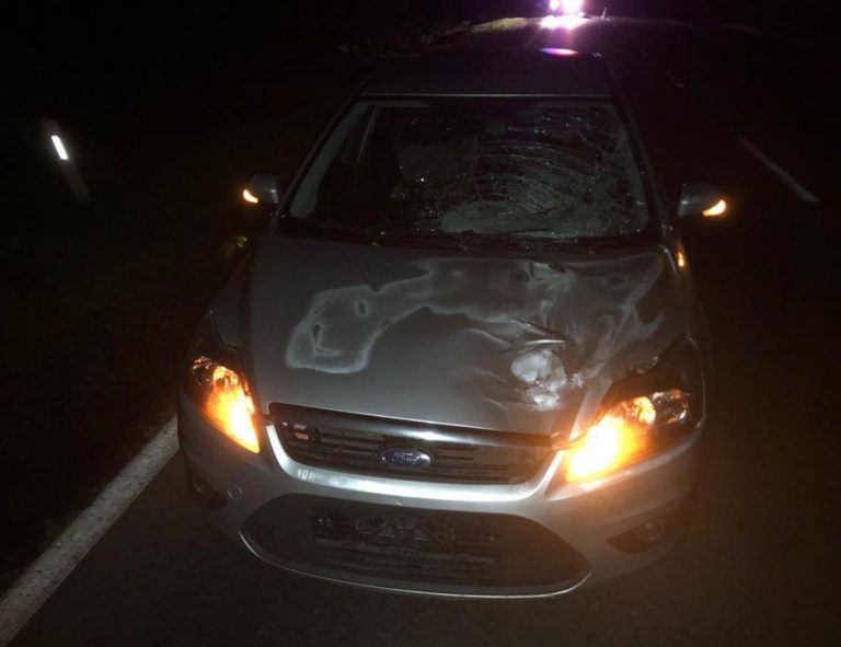 У Львівському районі вночі автомобіль Форд на смерть збив молодого чоловіка (ФОТО)